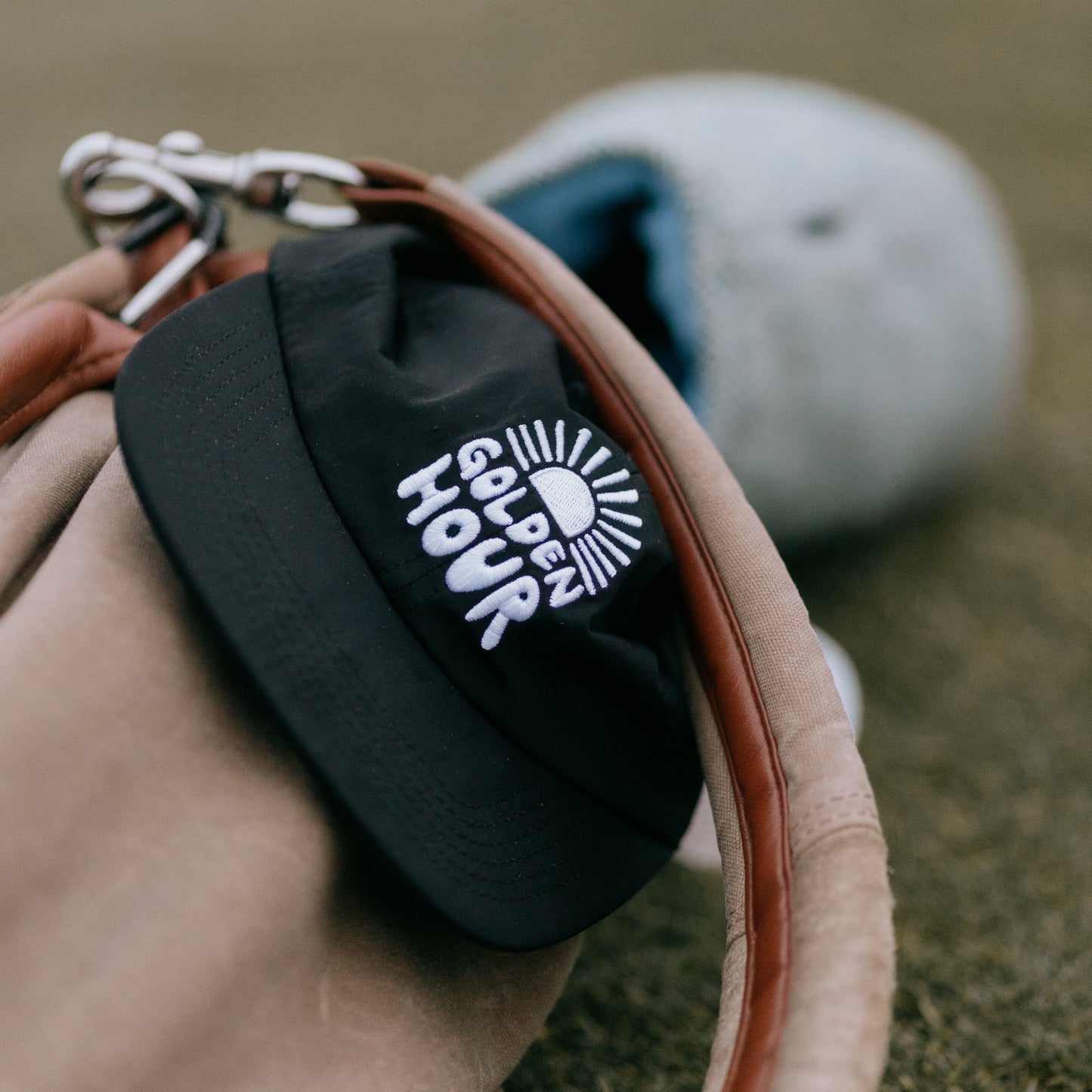 The 6 Panel